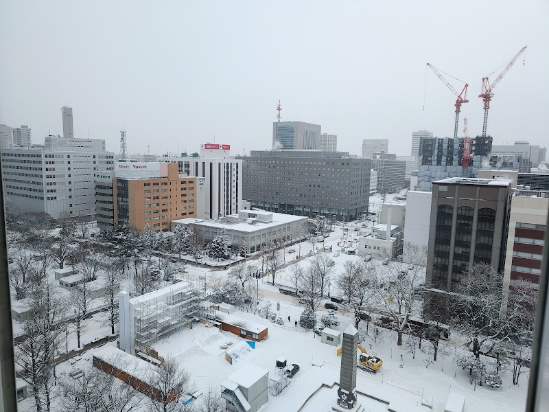 Hotel Resol Trinity Sapporo Hokkaido - Hotel Spa in Hokkaido