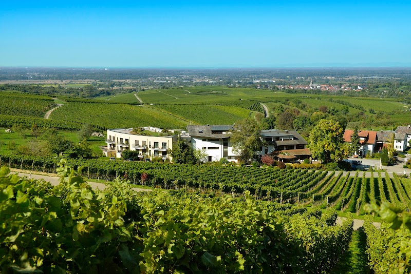 Hotel-Restaurant Rebenhof Baden-Baden - Hotel Spa in Baden-Baden