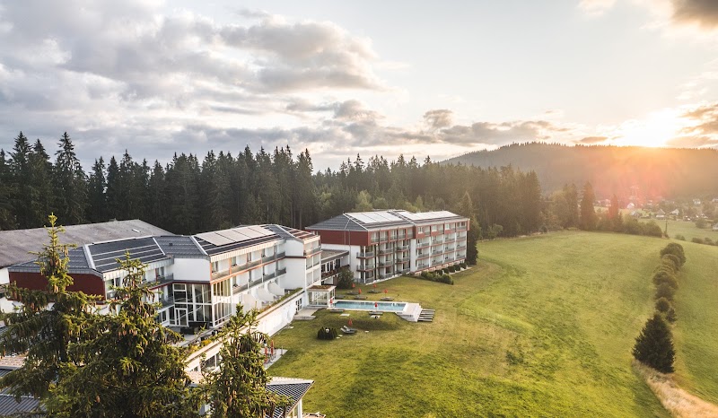 Hotel Saigerhöh Black Forest - Hotel Spa in Black Forest