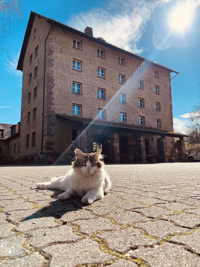 Hôtel Spa Le Moulin De La Wantzenau Strasbourg - Hotel Spa in Strasbourg