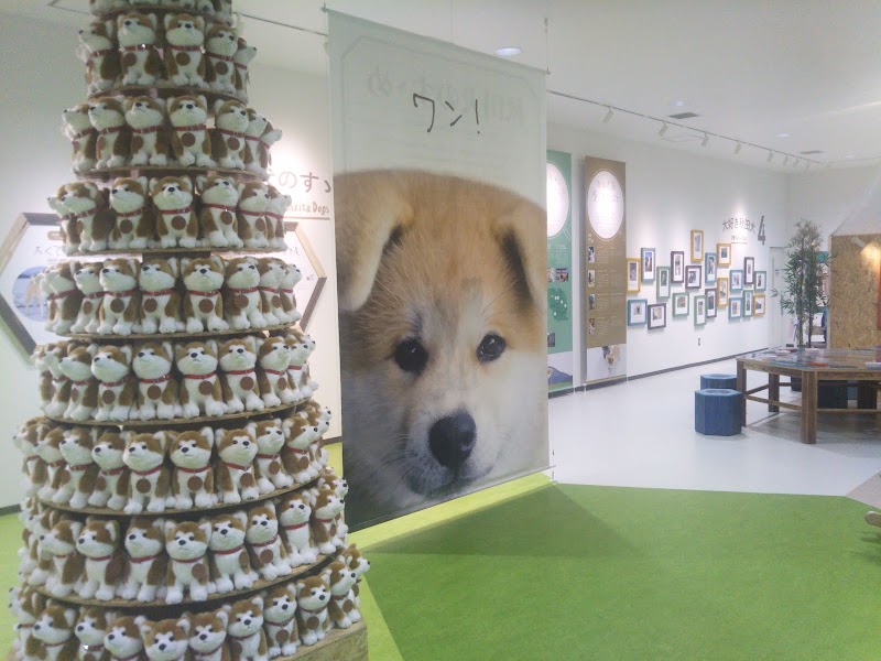 Houou Tei Odate City - Day Spa in Odate City