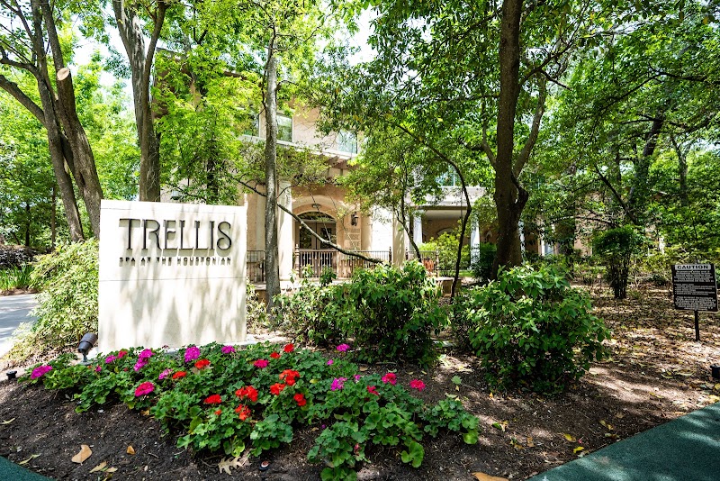 Houstonian Trellis Spa photo