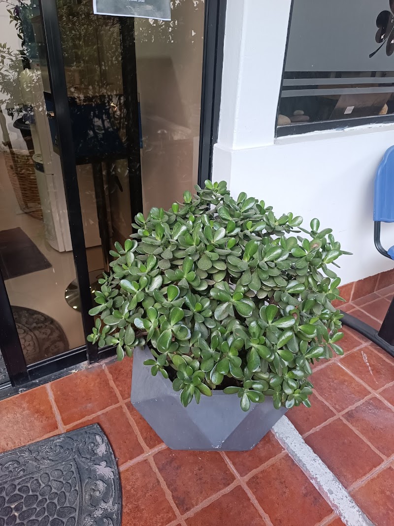 I am Ayurvedic Sangolqui - Day Spa in Sangolqui