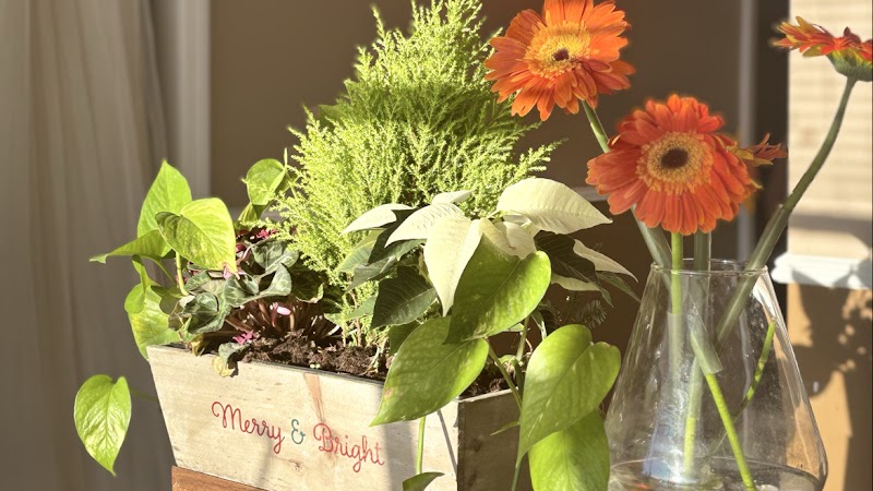 I Relax Spa Huntington - Day Spa in Huntington