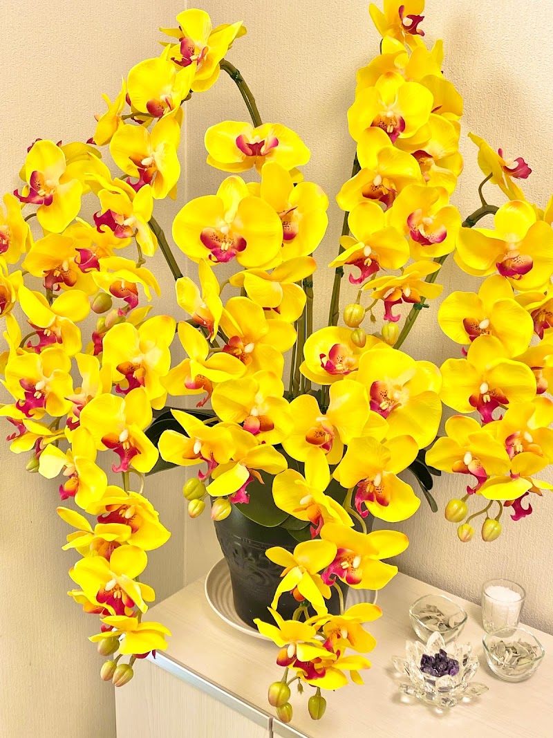 Ichirizuka Shinkyu Massage Hamamatsu City Hamana Ward - Day Spa in Hamamatsu City Hamana Ward