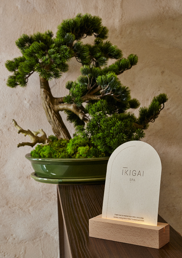 IKIGAI Spa Częstochowa - Day Spa in Częstochowa