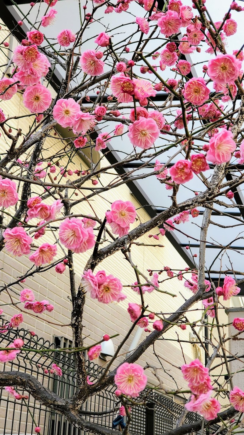 Ikuno Onsen Ikuno Ward, Osaka - Thermal Spa in Ikuno Ward, Osaka