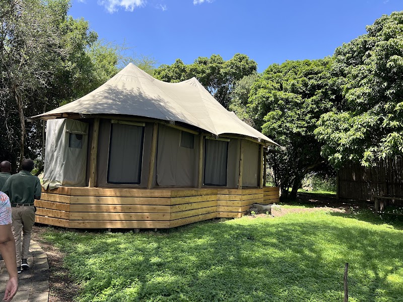 Ilkeliani Camp Masai Mara - Resort Spa in Masai Mara