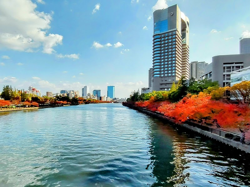Imperial Hotel Ōsaka Osaka - Hotel Spa in Osaka
