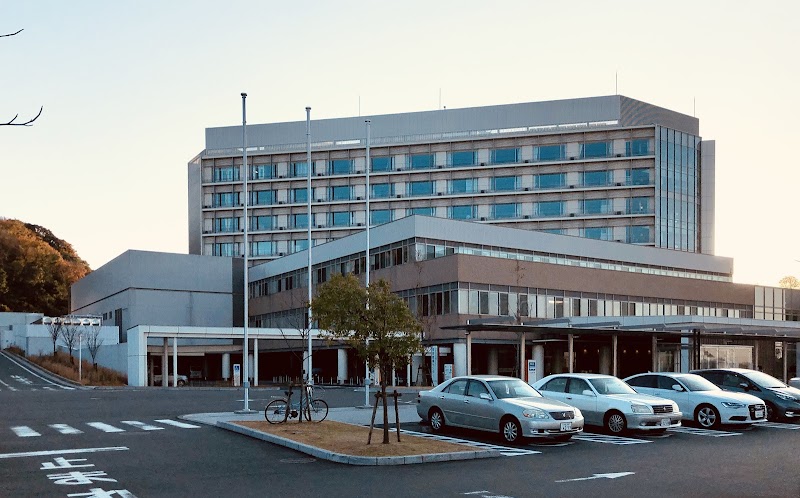 Inagawa General Treatment Clinic Aoi Ward, Shizuoka - Day Spa in Aoi Ward, Shizuoka