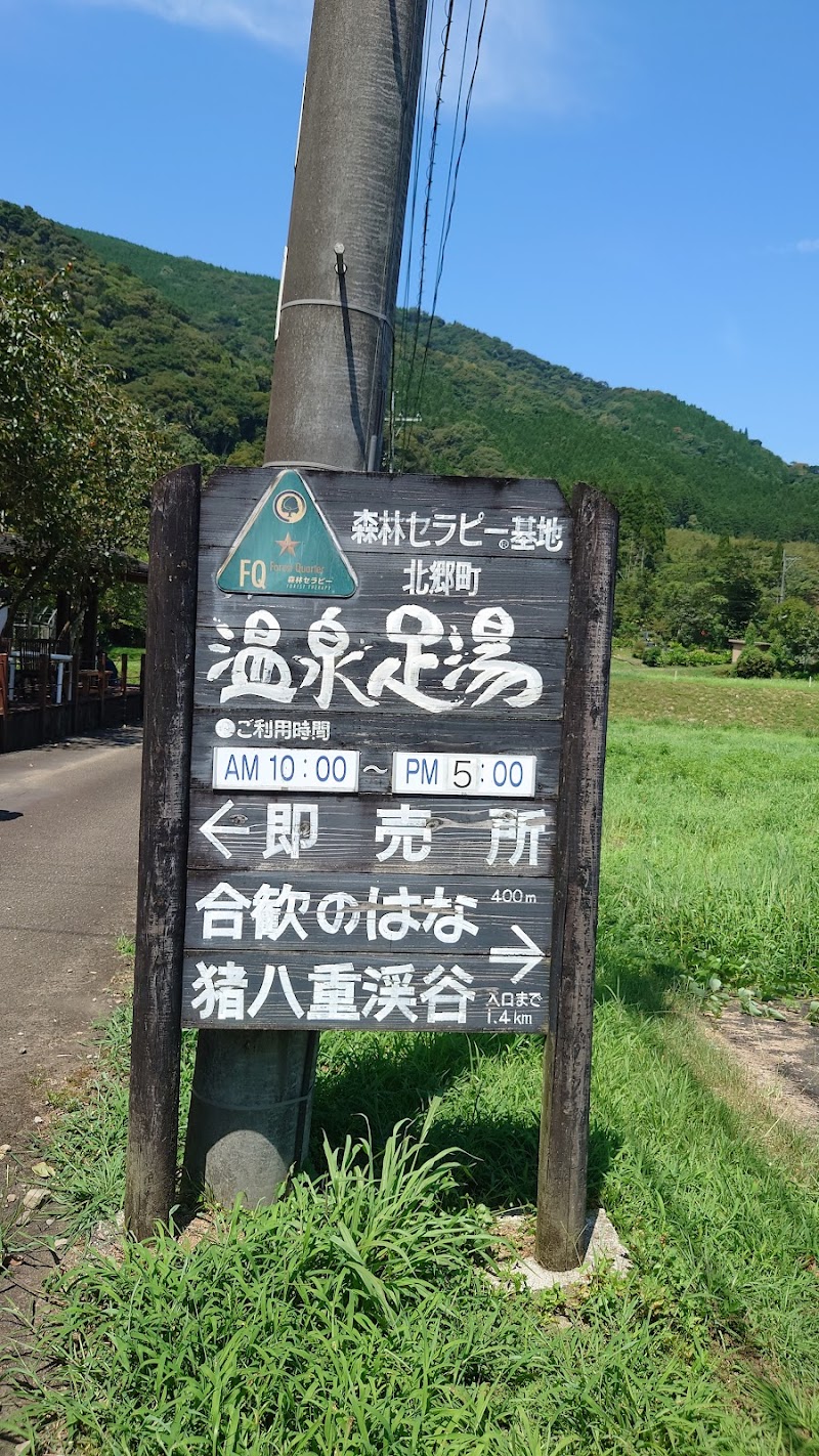 Inohae Onsen Ashiyu Nichinan City - Thermal Spa in Nichinan City