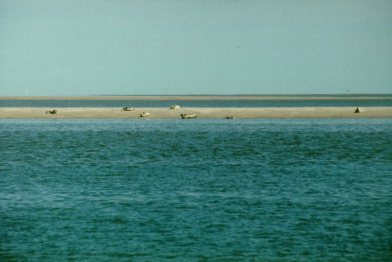Insel Pellworm - Lebenskunst im Atelier Poseidon - Day Spa in Pellworm