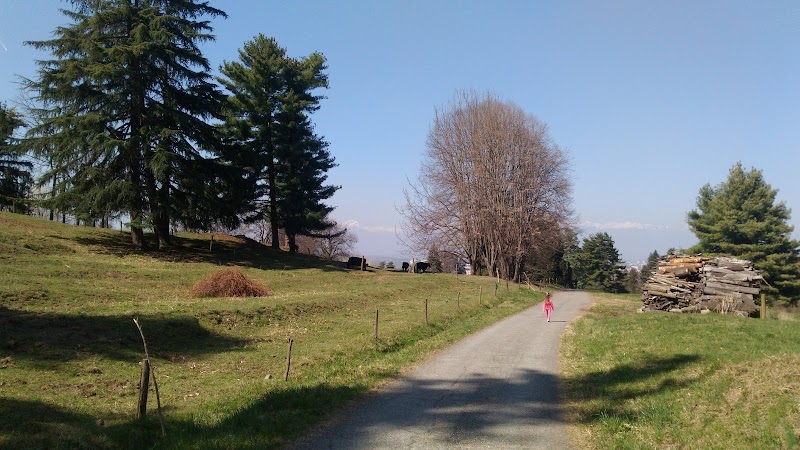 IPLA sas Casalnuovo di Napoli - Day Spa in Casalnuovo di Napoli