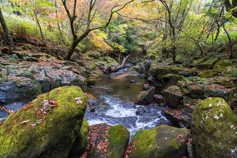 Iro Momiji Aso District Minamioguni Town - Day Spa in Aso District Minamioguni Town