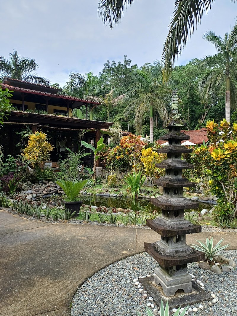 Island Plantation Hotel, Bar & Restaurant Bocas del Toro - Medical Spa in Bocas del Toro