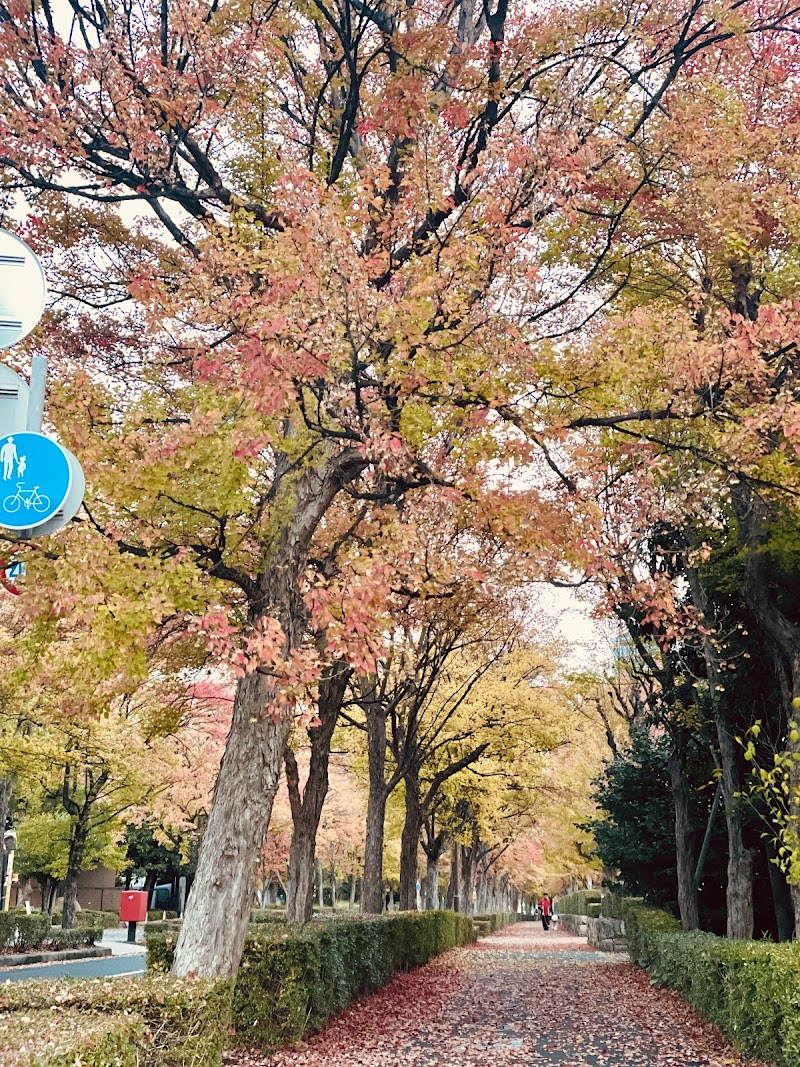 ISOLA Kobe City Higashinada Ward - Day Spa in Kobe City Higashinada Ward