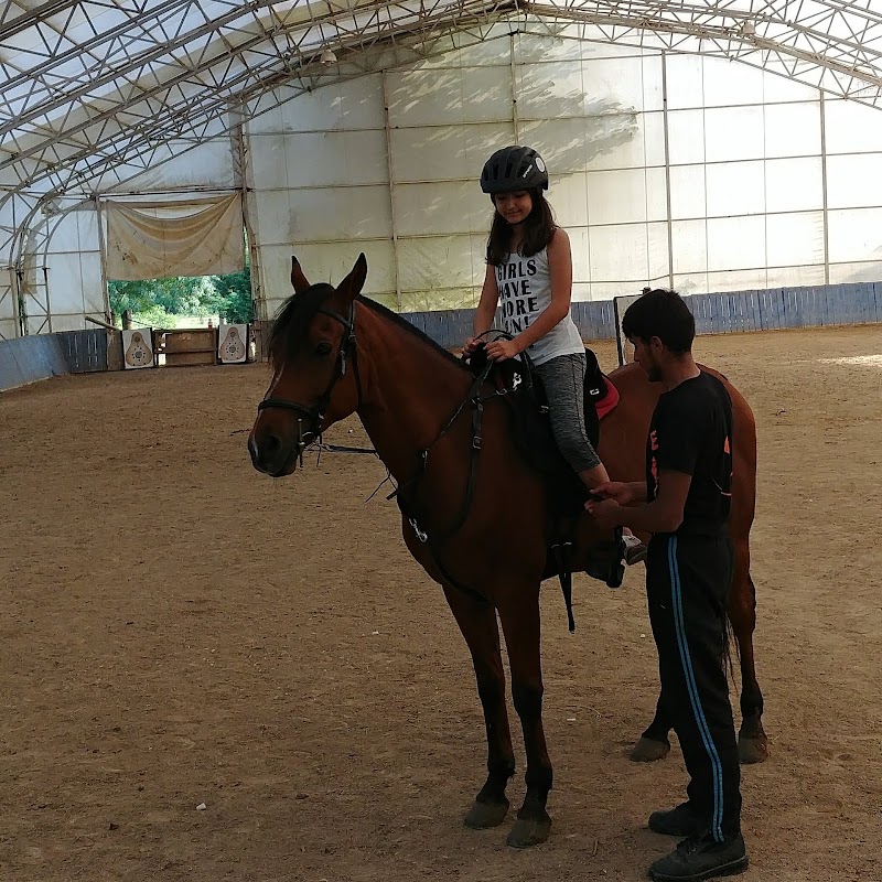 Pendik İstasyon Hamamı - Thermal Spa in Pendik