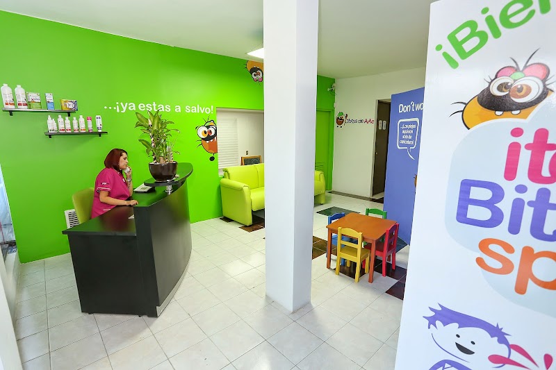 ItchyBitsi SPA - Chilpancingo - NO piojos Chilpancingo de los Bravo - Day Spa in Chilpancingo de los Bravo