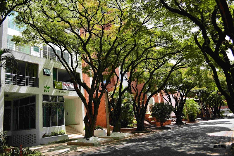 IVY Laureles Hotel, Apartment Rentals Apartamentos Amoblados Medellin Medellín - Hotel Spa in Medellín