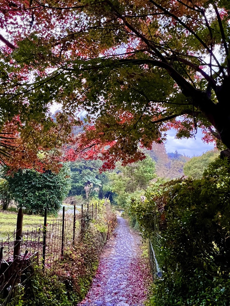 Iyashi no Te Sakurai City - Day Spa in Sakurai City