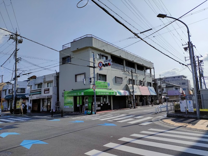 Izumi City Komyoike Hoshino BodyCare Acupuncture Chiropractic Clinic [Back Pain/Pelvic Correction/Shoulder Stiffness/Joint Pain] Near Komyoike Driving Test Center Izumiotsu City - Day Spa in Izumiotsu City