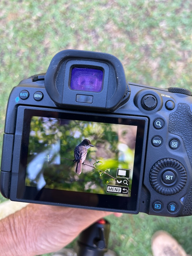 Jardimdosbeijafloresfoz Foz do Iguaçu - Day Spa in Foz do Iguaçu