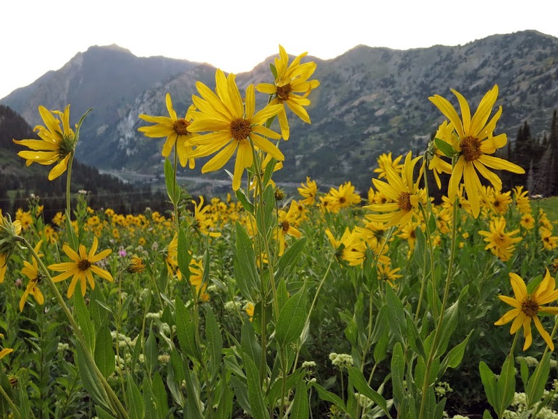 Jenny Sue Massage & Doula Orem - Day Spa in Orem