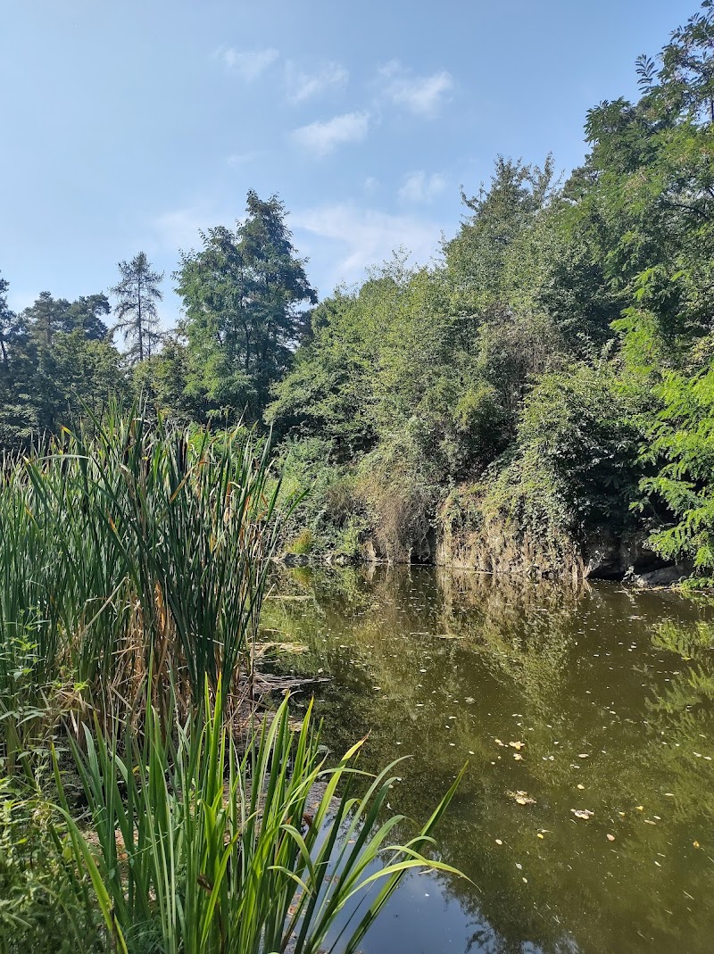 Jezírko park Skalka Praha - Thermal Spa in Praha