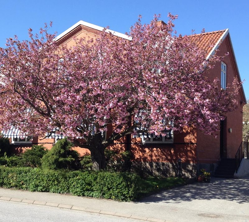 JJS Massage & Relax Hörby - Day Spa in Hörby