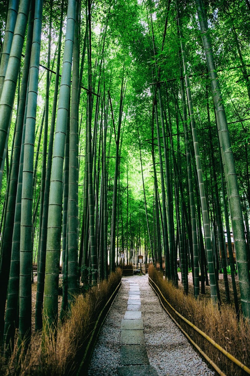 Joraku-yu Kamakura City - Day Spa in Kamakura City
