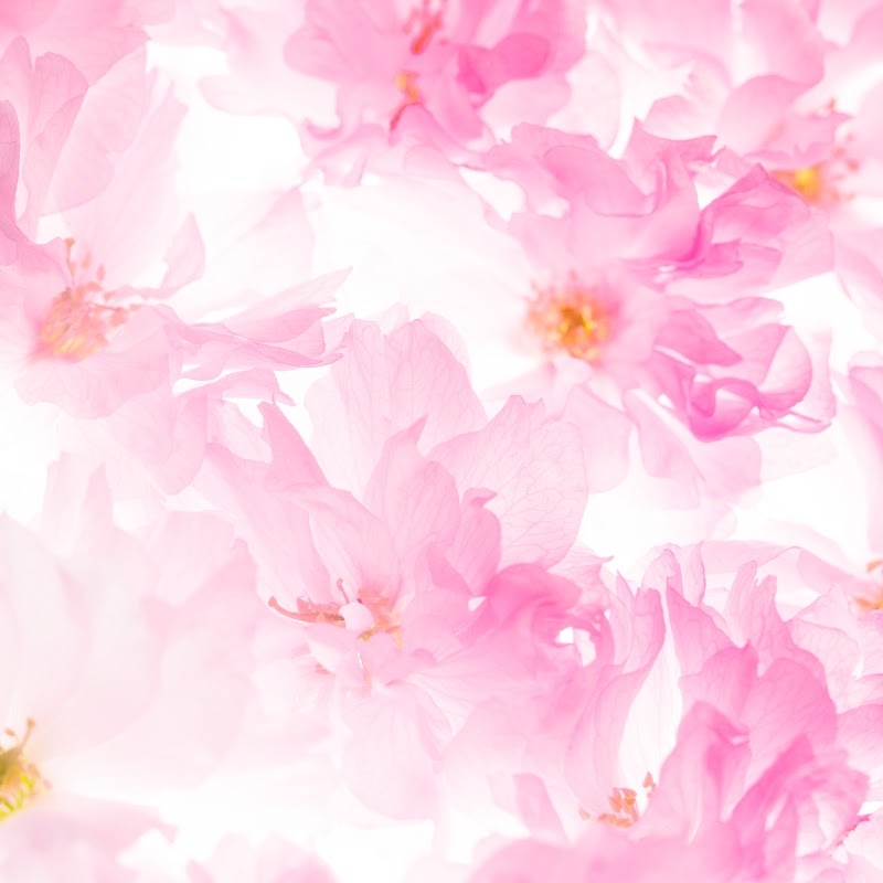 Jubilant Este Studio Haru Toyama City - Day Spa in Toyama City