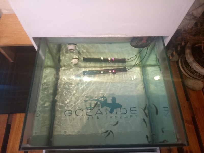 Kailash, Manicure, Pedicure, SPA & Boutique Puerto Palomas - Day Spa in Puerto Palomas