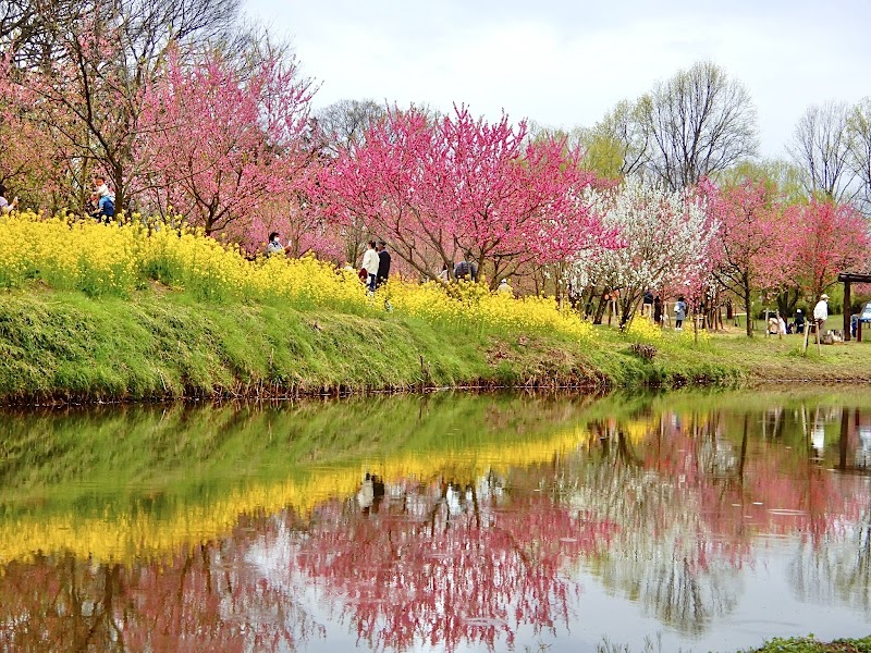 Kairakuso Koga City - Day Spa in Koga City