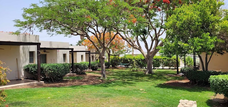 Kalia Kibbutz Hotel Dead Sea - Hotel Spa in Dead Sea