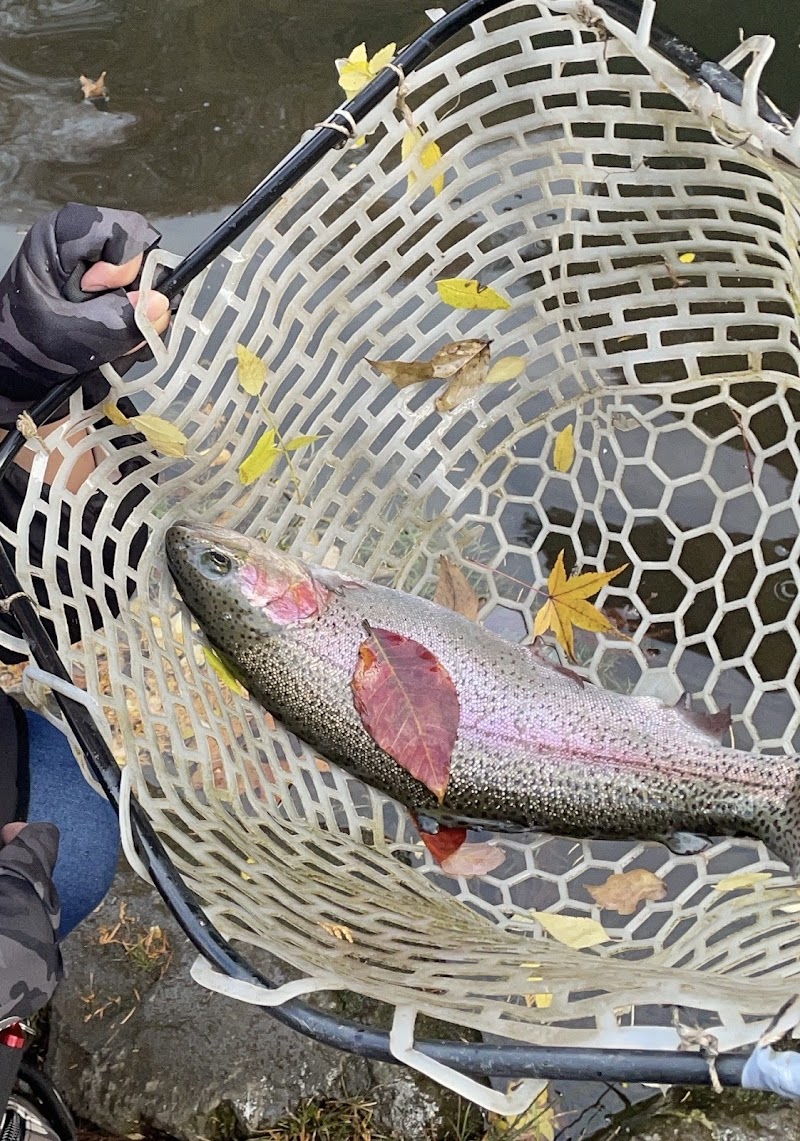 Kaneman Fishing Pond Center Numata - Day Spa in Numata