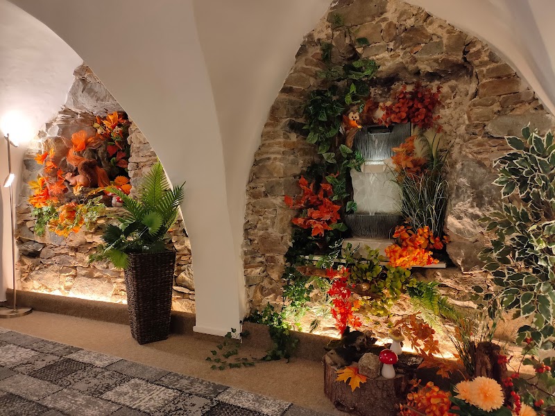 Karel Josef Pospichal Waidhofen an der Thaya - Day Spa in Waidhofen an der Thaya