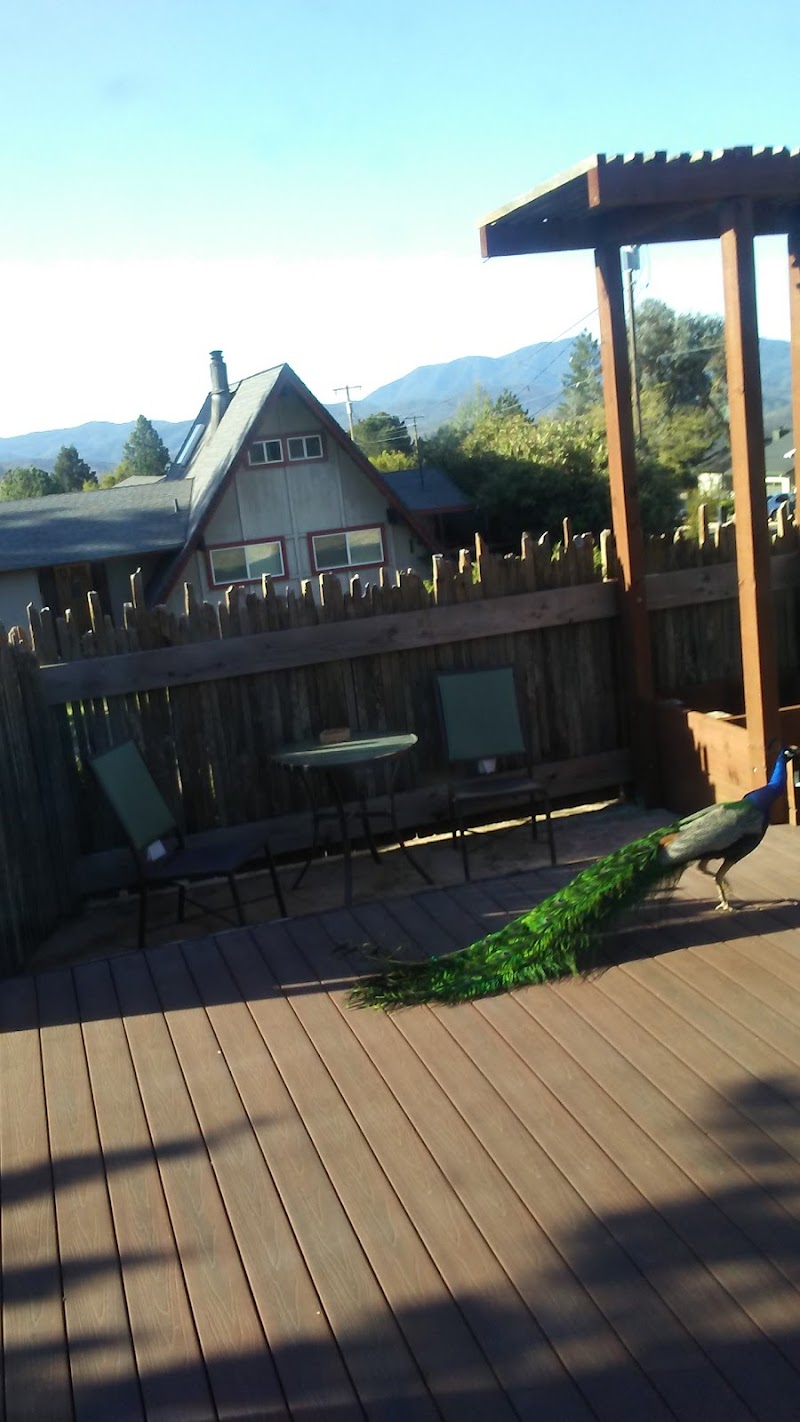 Kasselle Hidden Valley Lake - Wellness Retreat in Hidden Valley Lake