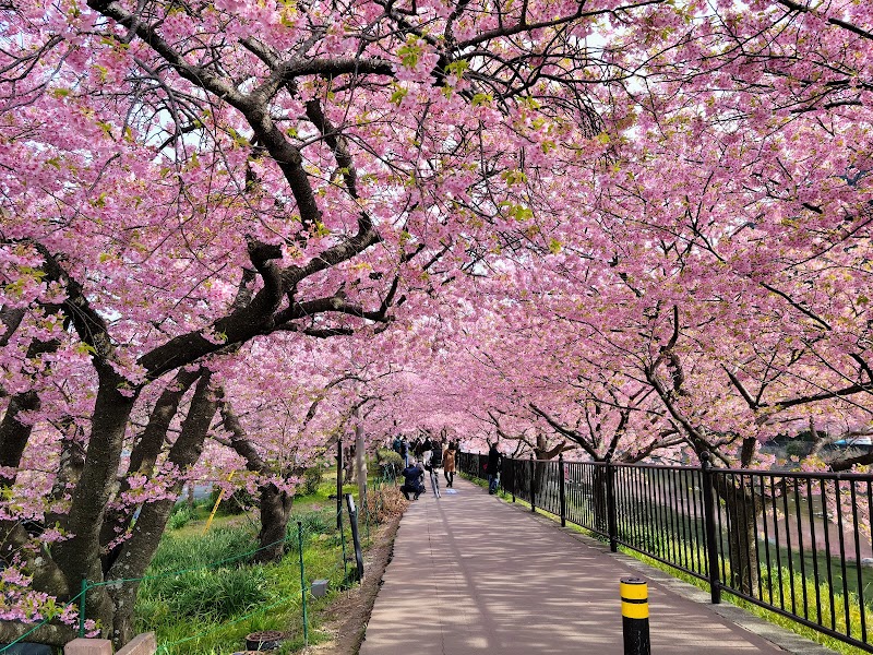 Kawazu Saburo Ashiyu Place Kamo District, Kawazu Town - Day Spa in Kamo District, Kawazu Town