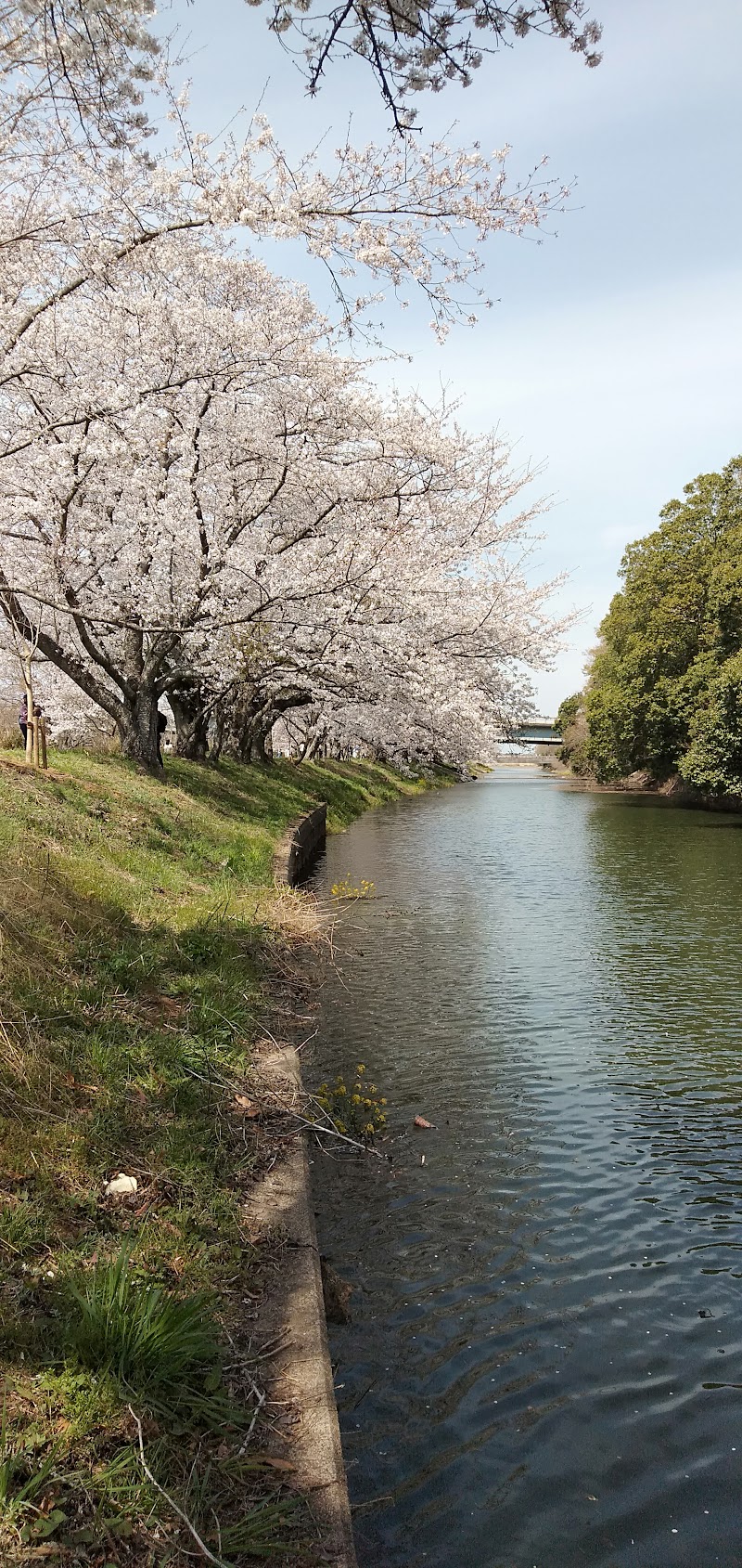Kenbikan Mirai Tsukubamirai City - Day Spa in Tsukubamirai City