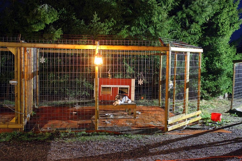 Kennel Touhutytön Turku - Day Spa in Turku