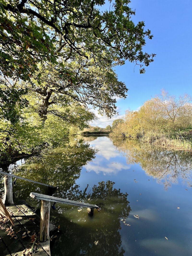 Kindred Sauna Horsham - Wellness Retreat in Horsham
