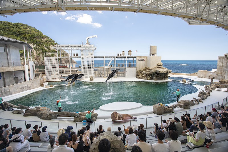 Kinosaki Marine World - Day Spa in Kinosaki