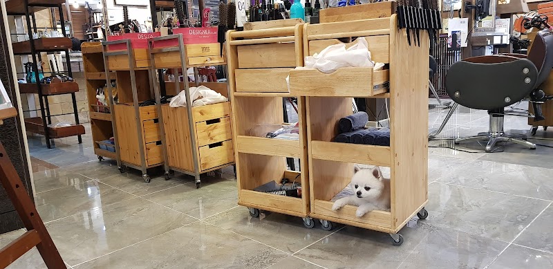 Kirei Na Hair Extension Specialty Shop Jinju City - Day Spa in Jinju City