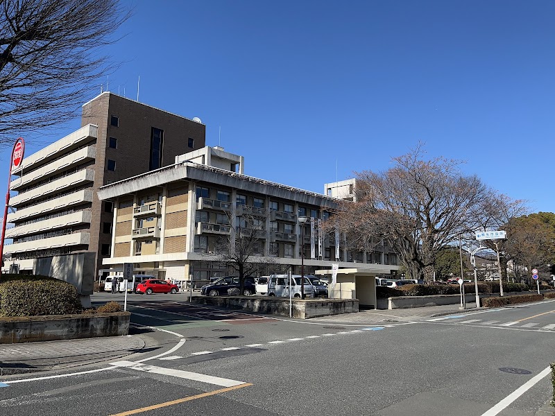 Kiryu City Daiki Seitai - Day Spa in Kiryu City