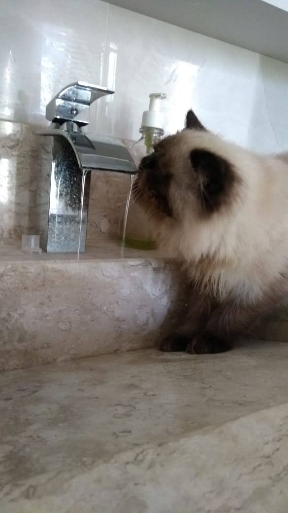 Kitty Ivoti - Day Spa in Ivoti