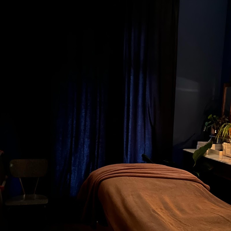 Antwerp kleine cosmos