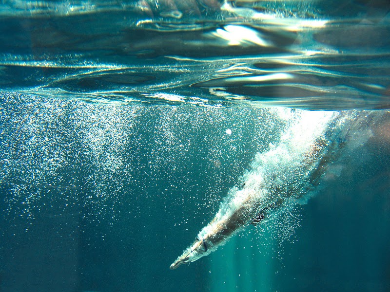 KOI Bad und Sauna Homburg - Day Spa in Homburg