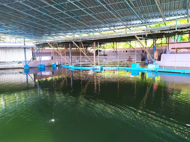 Kolam Renang Marin ARM Gadong - Thermal Spa in Gadong