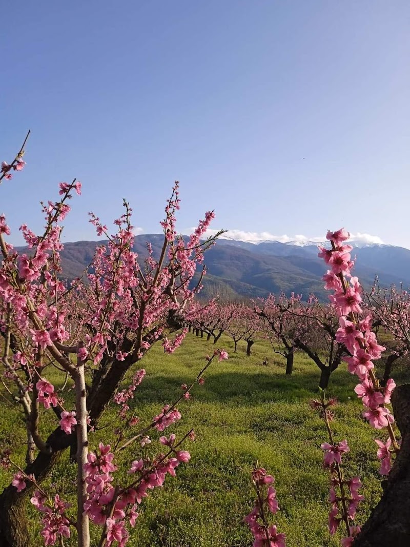 Kolarovo, Petrich - Day Spa in Petrich
