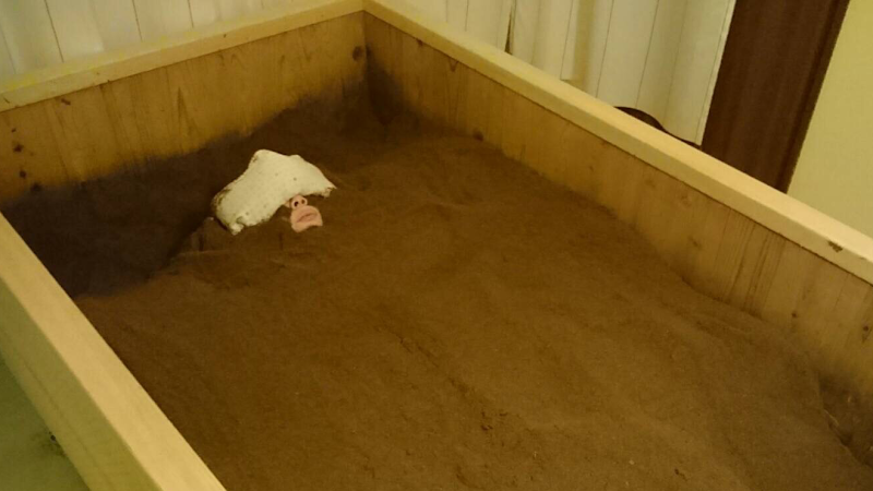 Komenuka Koso Toyohashi Store - Day Spa in Toyohashi